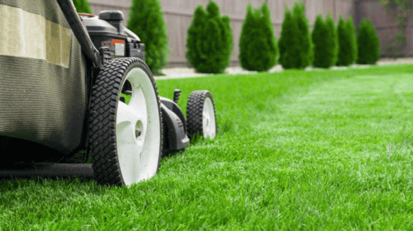 Hand watering young plant in garden soil, representing AIM Facilities tree and plant care services.