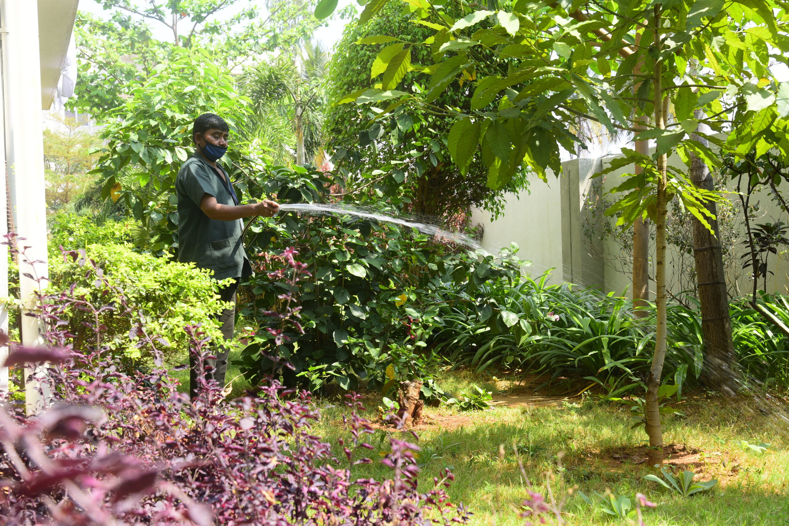 Gardening Services In Bangalore